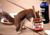 Nutella