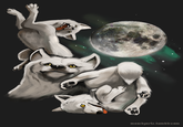 Three Wolf Moon