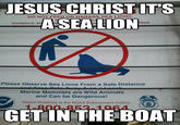 Jesus Christ It's a Lion Get In The Car!