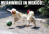 Meanwhile in X