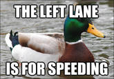 Actual Advice Mallard