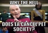 Electronic Arts (EA)
