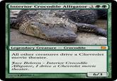 Interior Crocodile Alligator