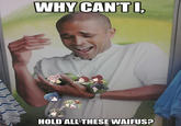 Limes Guy / Why Can't I Hold All These Limes?