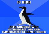 Socially Awkward Penguin