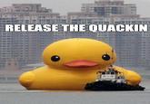 Release The Kraken!