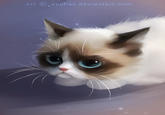 Grumpy Cat