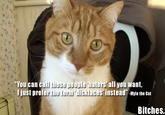 Mylo the Cat