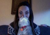 Cat Beards