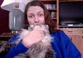Cat Beards