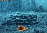 Sloths