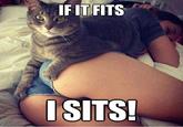 If It Fits I Sits