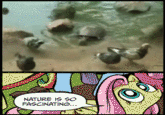 My Little Pony: Friendship is Magic