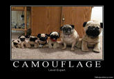 Demotivational Posters