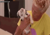 Dogs