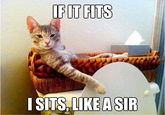 If It Fits I Sits