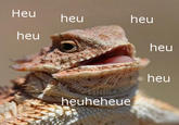 Huahuehuahue