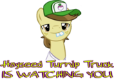 My Little Pony: Friendship is Magic
