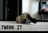 Twerking