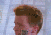 bd6.gif