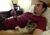 Cats