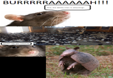 91c.png