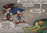 Sonic the Hedgehog