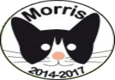 El CandiGato Morris (Morris the Cat-idate)