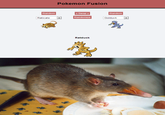Pokefusion / Pokemon Fusion