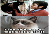 Grumpy Cat