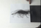 Optical Illusion