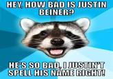 Lame Pun Coon