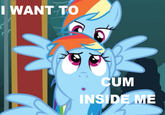 I Want to Cum Inside Rainbow Dash