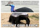 Honey Badger
