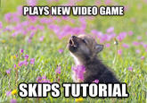 Baby Insanity Wolf
