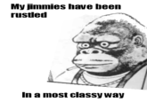 That Really Rustled My Jimmies