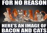 Bacon