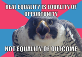 Millennial Falcon