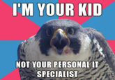 Millennial Falcon