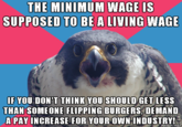 Millennial Falcon