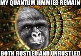 That Really Rustled My Jimmies