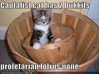 Lolrus