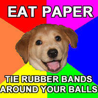 Advice Dog