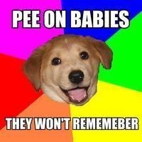 Advice Dog