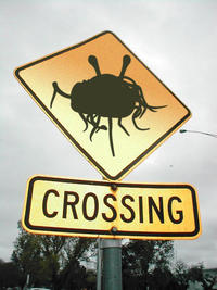 The Flying Spaghetti Monster