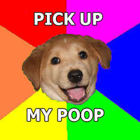 Advice Dog