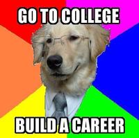 Advice Dog