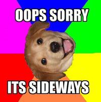 Advice Dog