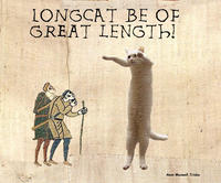 Longcat