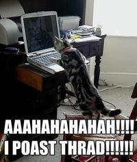LOLcats